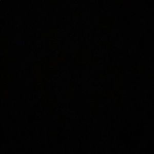 Meet your Posher, Madeline